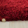 Cosy Textures Plush Rug - Red - Sizes Available