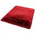 Cosy Textures Plush Rug - Red - Sizes Available