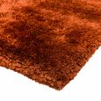 Cosy Textures Plush Rug - Rust - Sizes Available