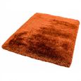 Cosy Textures Plush Rug - Rust - Sizes Available