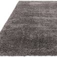 Cosy Textures Ritchie Rug - Grey - Sizes Available