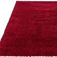 Cosy Textures Ritchie Rug - Red - 200cm x 290cm