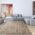 Easy Kuza Rug - Abstract - Beige - Sizes Available