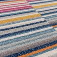 Easy Muse Rug - Stripe - MU06 - Multi Colour - Sizes Available