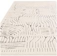 Easy Valley Route Rug - Ivory and Charcoal - 120cm x 170cm