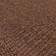 Natural Weaves Rug - Grove - Brown - 120cm x 170cm
