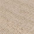 Natural Weaves Rug - Grove - Sand - Sizes Available