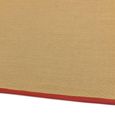 Natural Weaves Rug - Sisal - Linen and Red - Sizes Available