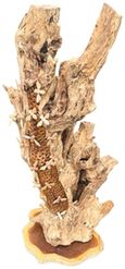 Beehive Sculpture - 20 Bees - Teak Root
