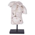 Torso Sculpture - White Resin - Male - On Stand