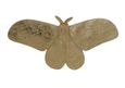 Butterfly Wall Art - Gold - Pair
