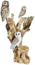 Special Sculpture - 3 Owls Large - Teak Root