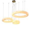Thalora Chandelier - White and Brass - Resin and Metal