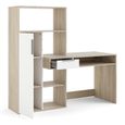 Function Plus Desk - 1 Door - 1 Drawer - Multi-Functional - White