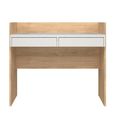 Function Plus Desk - 2 Drawer - Oak and White