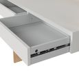Function Plus Desk - 2 Drawer - Oak and White