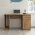 Fribo Desk - 1 Door - 1 Drawer - Oak