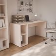 Alice Springs Desk - Sand