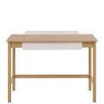 Alpena Office Desk - 1 Drawer - Oak