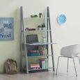 Ross Ladder Desk - Variant Available