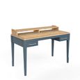 Signature Blue Desk - 2 Drawer