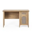 Sydney Desk - 1 Door - 1 Drawer - Faux Rattan