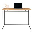 Vita Writing Desk - Natural Wood
