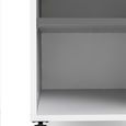 Function Plus File Cabinet - White and Grey