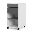 Function Plus File Cabinet - White and Grey