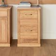 Mobel Oak Filing Cabinet - 2 Drawer