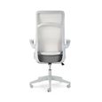 Archer Office Chair - Mesh Fabric