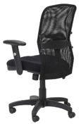 Darke Managers Mesh Office Chair - AOC9200-M