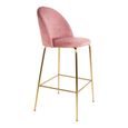 Lausanne Barstool - Pink Velvet Fabric - Set of 2 - Gold Legs