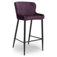 Malmo Barstool with Back - Set of 2 - Purple Fabric
