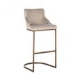 Bolton Khaki Fabric and Brushed Gold Barstool with Back (Set of 2)