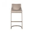 Bolton Khaki Fabric and Brushed Gold Barstool with Back (Set of 2)