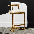 Azalea Barstool - Set of 2 - Ivory Velvet Fabric with Gold Metal