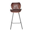 Caiziwan Barstool - Brown Leather - with Back - Set of 2