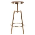 Goose Barstool - Set of 2 - Gold Screw Bolt - Round