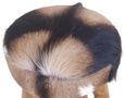 Frankfort Goat Skin Tall Kitchen Stool