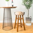 Frankfort Goat Skin Tall Kitchen Stool