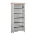 Lundy Bookcase - Tall - Grey Painted