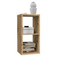 Mauro Shelving Unit - 2 Open - Artisan Oak