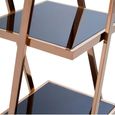 Ackley Shelving Unit - Rose Gold Glass