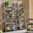 Aldsworth Shelf Ladder Small Natural Wood