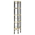 Allessi Shelving Unit - Glass and Champagne - Large