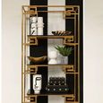 Horizon Bookcase - Angular - Black Glass with Gold Metal