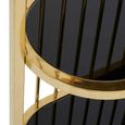 Horizon Bookcase - Cage - Black Glass with Gold Metal