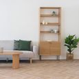 Kyoto Bookcase - with Cupboard - Oak