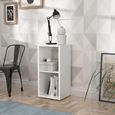 Mauro Matt White 2 Open Shelving Unit